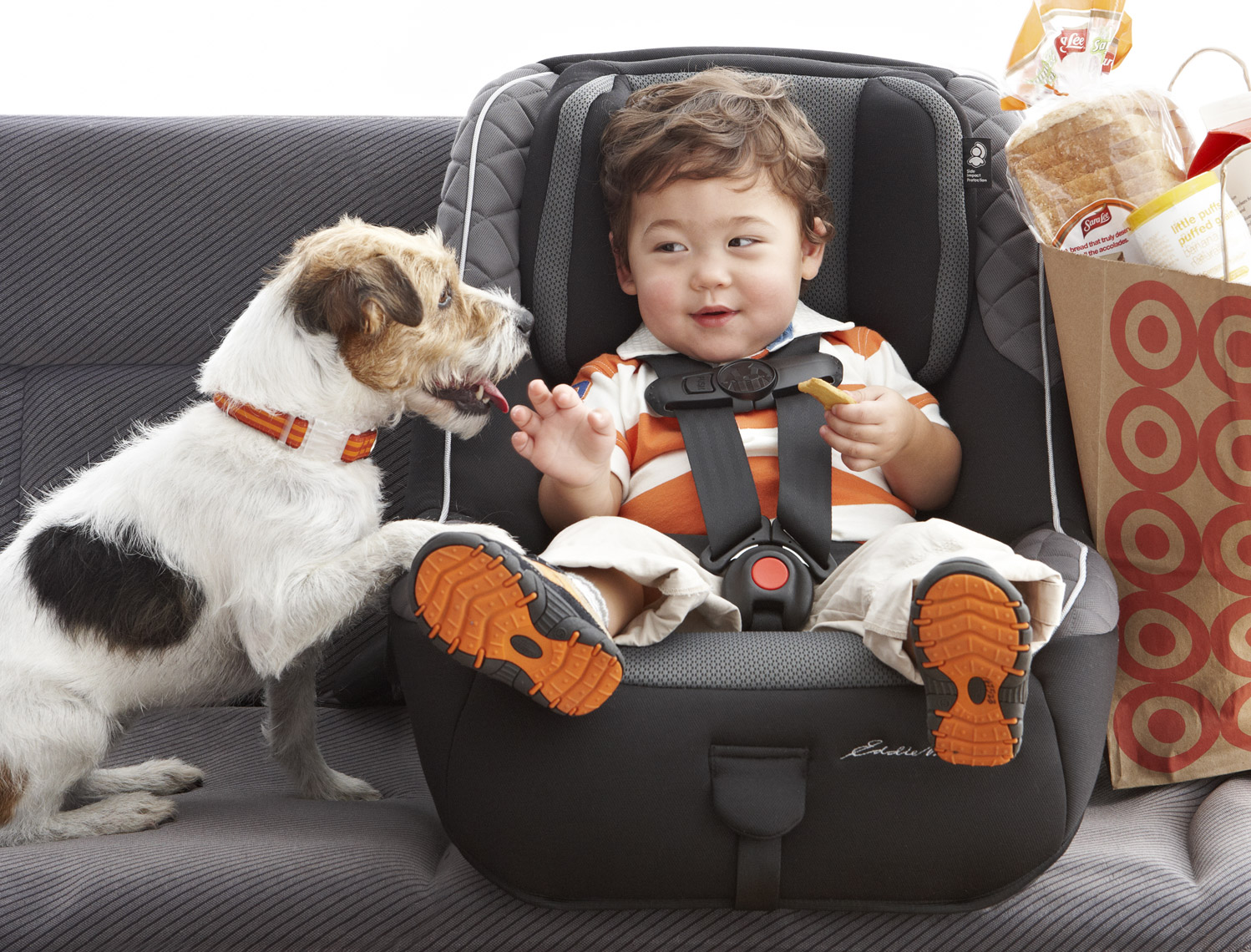 baby12carseatdog_1140h